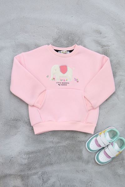 3-7 Yaş Kız Çocuk Nakışlı Sweat Pembe - 625462.1576.